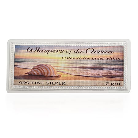 Silver - Product card gallery slide 1 (10202439090489)