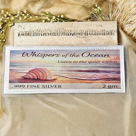 Silver - Product card gallery slide 2 (10202439090489)