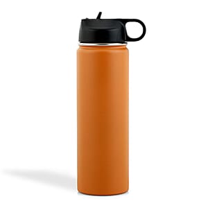 Closeout The Memory Company Brown Double Wall Stainless Steel Water Bottle 22oz