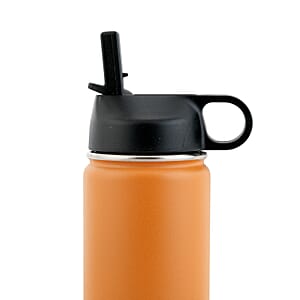Closeout The Memory Company Brown Double Wall Stainless Steel Water Bottle 22oz