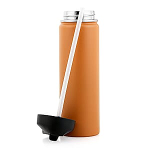 Closeout The Memory Company Brown Double Wall Stainless Steel Water Bottle 22oz