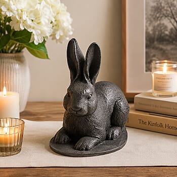 Rabbit - Product card gallery slide 2 (10302572003641)