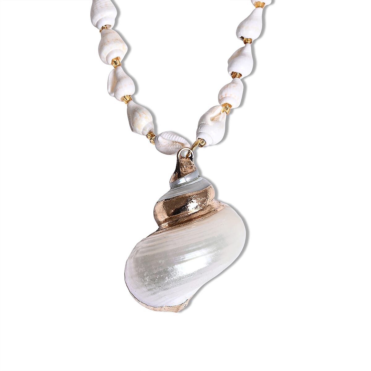 Shell Pendant Necklace in Goldtone with Adjustable ION Plated YG Stainless Steel Chain image number 2