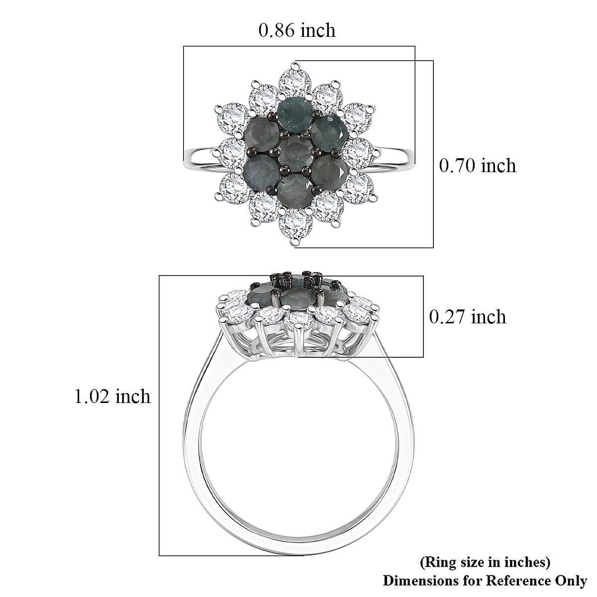 D'Joy Narsipatnam Alexandrite and Moissanite 1.80 ctw Garden Starburst Ring in Rhodium Over Sterling Silver (Size 6.0)
