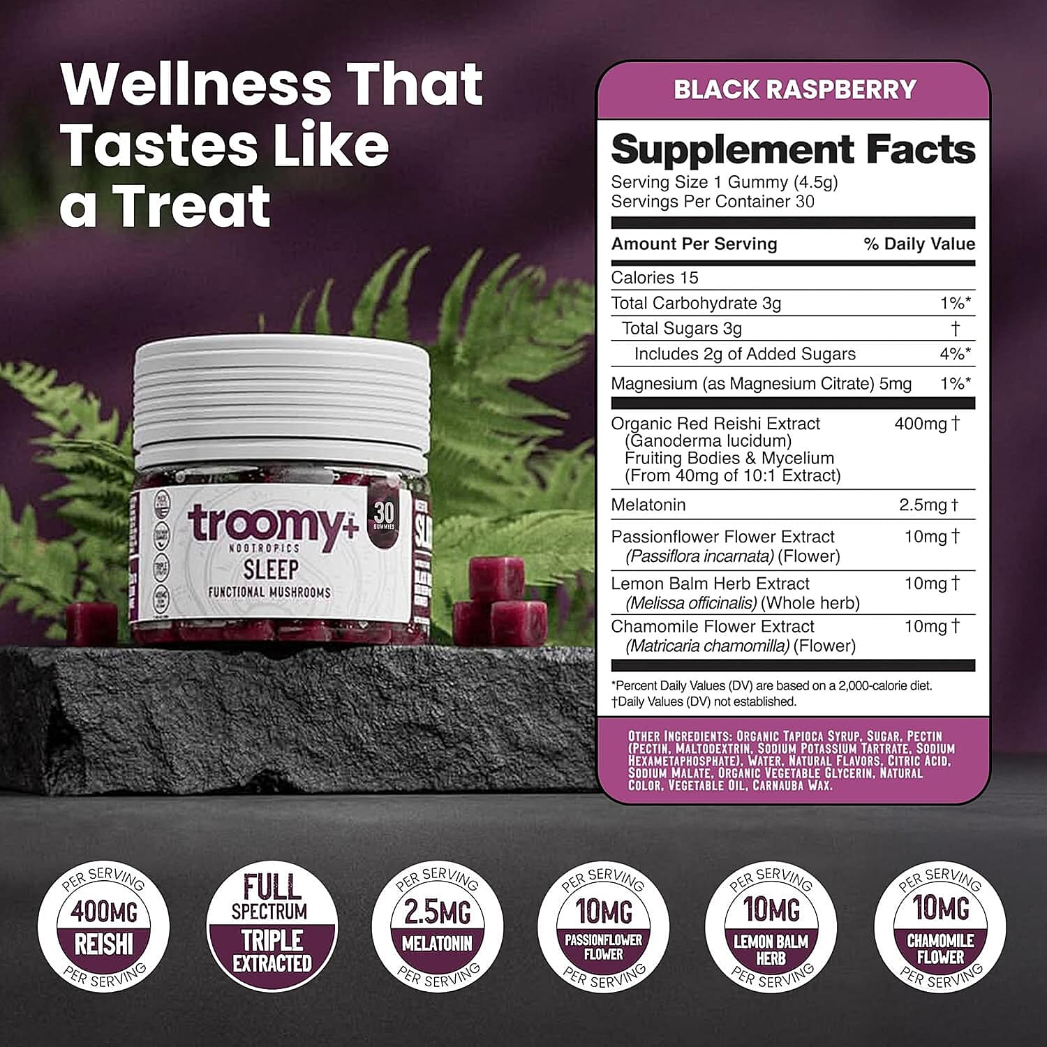 Troomy Nootropics Sleep Reishi & Melatonin Supplement (60 Black Raspberry Gummies) Made in US