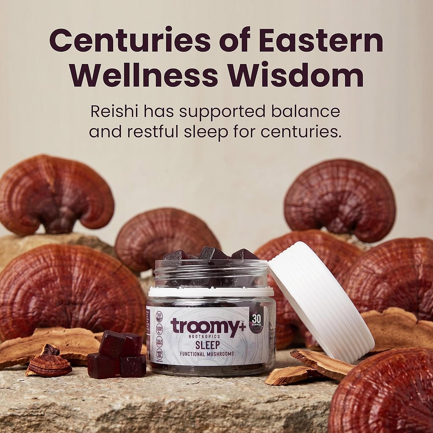 Troomy Nootropics Sleep Reishi & Melatonin Supplement (60 Black Raspberry Gummies) Made in US