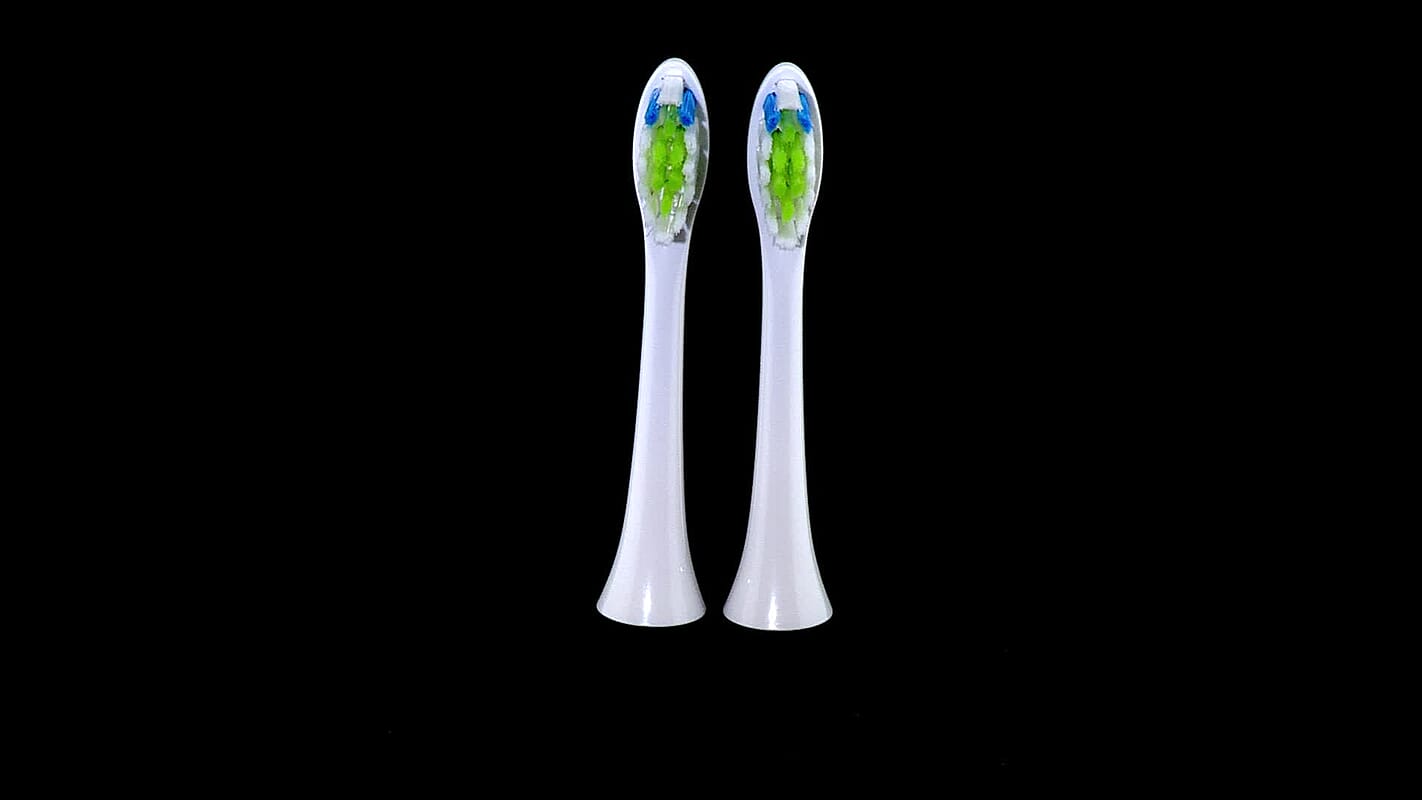 Lab Replacement Set of 2 Brush Head  8620291