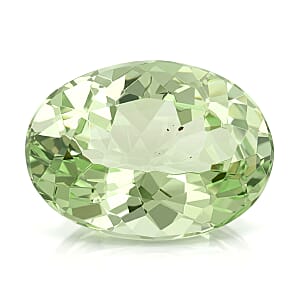 AAAA Mint Tsavorite Garnet (Ovl Free Size) 1.00 ctw