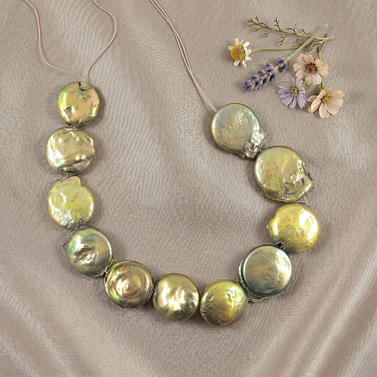 Large Olive Coin Dark Green Dyed Pearl Beaded Strand Necklace 16 Inches image number 1