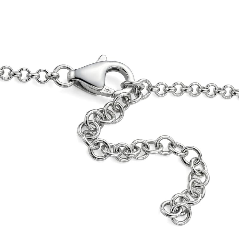 Certified and Appraised D'Joy Premium Usambara Color Change Garnet and Moissanite 16.20 ctw Necklace (18-20 inches) in Rhodium Over Sterling Silver