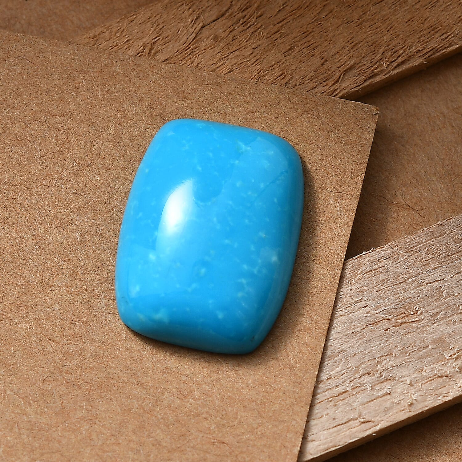 AAA Sleeping Beauty Turquoise (Cush 20x15 mm) 15.51 ctw