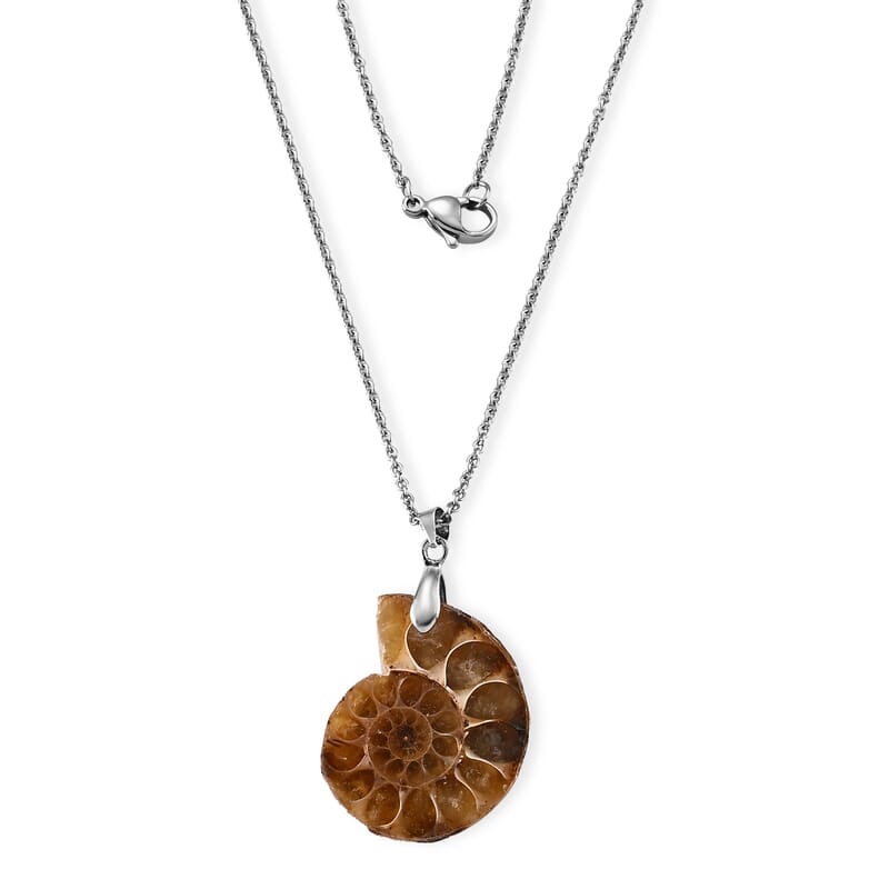 Black Fossil 35.00 ctw Pendant in Silvertone with Stainless Steel Necklace (20 Inches)