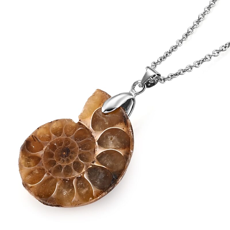 Black Fossil 35.00 ctw Pendant in Silvertone with Stainless Steel Necklace (20 Inches)