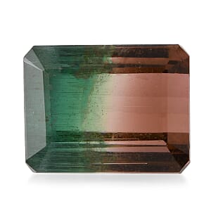 AAA Bi Color Tourmaline (Oct 12.8x9.91 mm) (Del. In 10-12 Days) 11.46 ctw