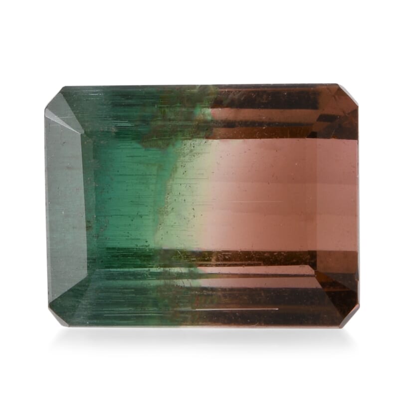 AAA Bi Color Tourmaline (Oct 12.8x9.91 mm) 11.46 ctw