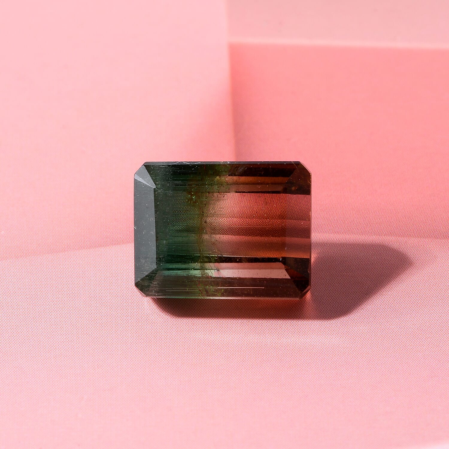 AAA Bi Color Tourmaline (Oct 12.8x9.91 mm) 11.46 ctw