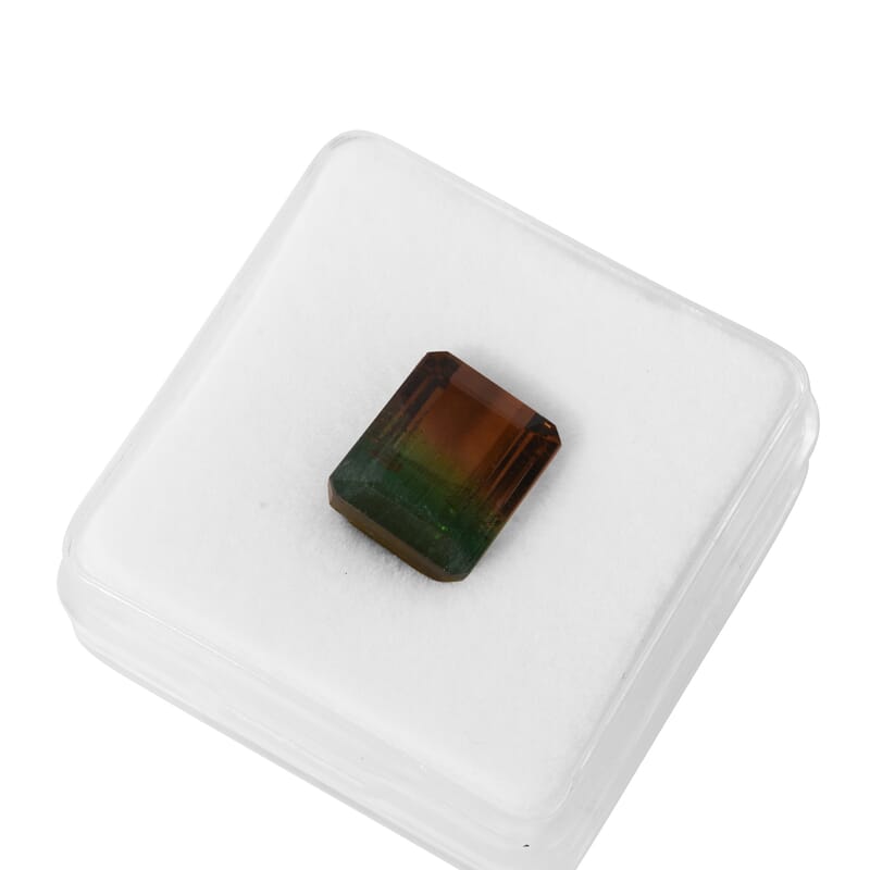 AAA Bi Color Tourmaline (Oct 12.8x9.91 mm) 11.46 ctw