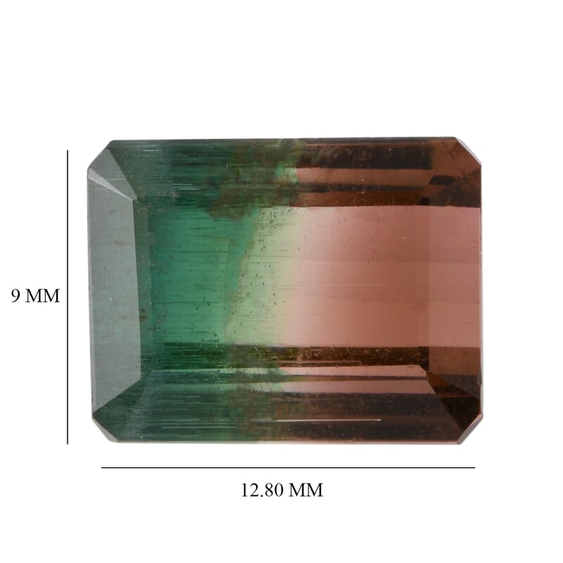 AAA Bi Color Tourmaline (Oct 12.8x9.91 mm) 11.46 ctw