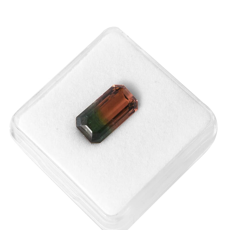 AAA Bi Color Tourmaline (Oct 14.76x8.12 mm) 7.01 ctw