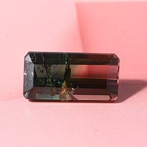 AAA Bi Color Tourmaline (Oct 15.73x7.87 mm) (Del. In 10-12 Days) 7.03 ctw