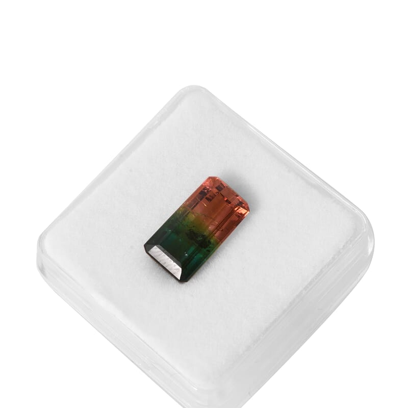 AAA Bi Color Tourmaline (Oct 15.02x8.08 mm) 8.63 ctw