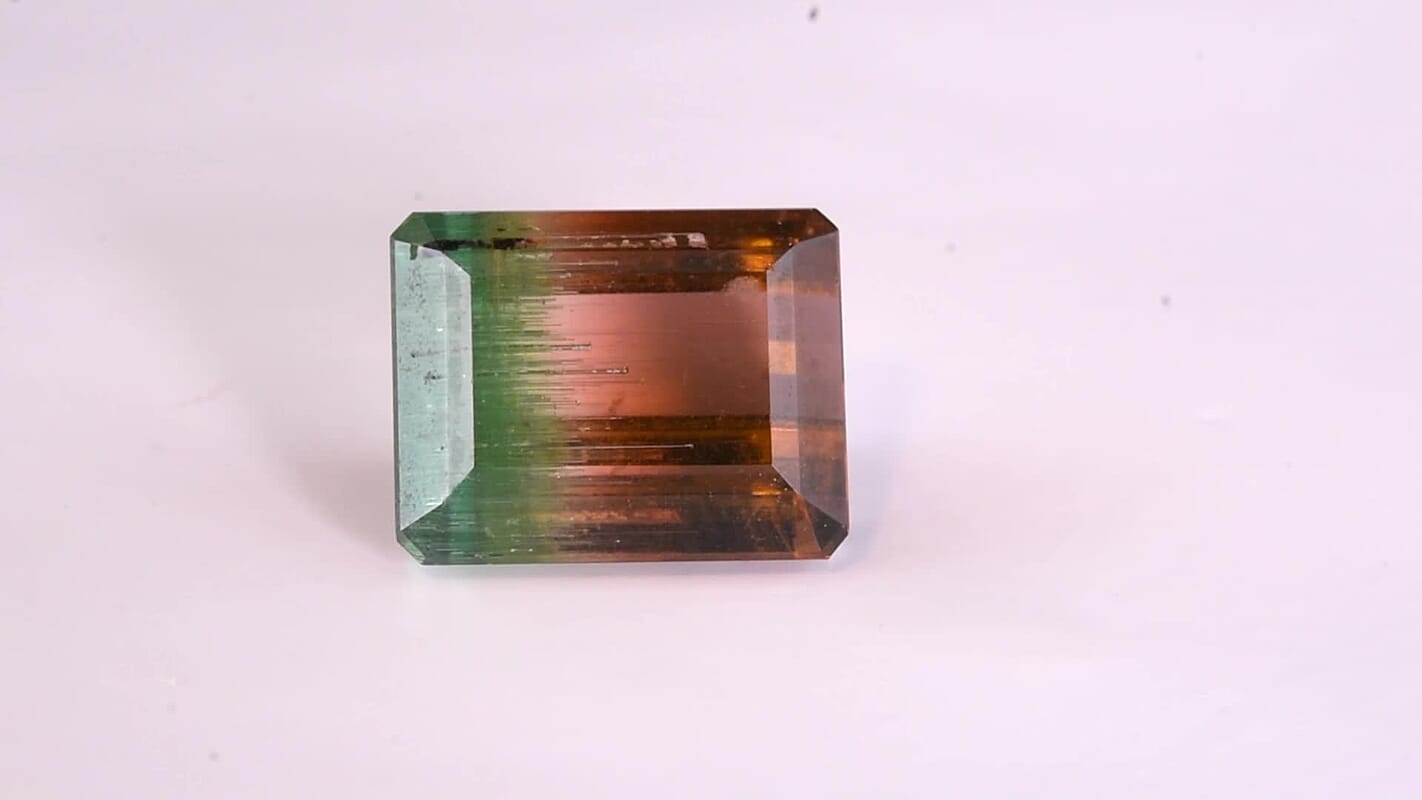 AAA Bi Color Tourmaline (Oct 14.56x11.74 mm) (Del. In 10-12 Days) 13.55 ctw