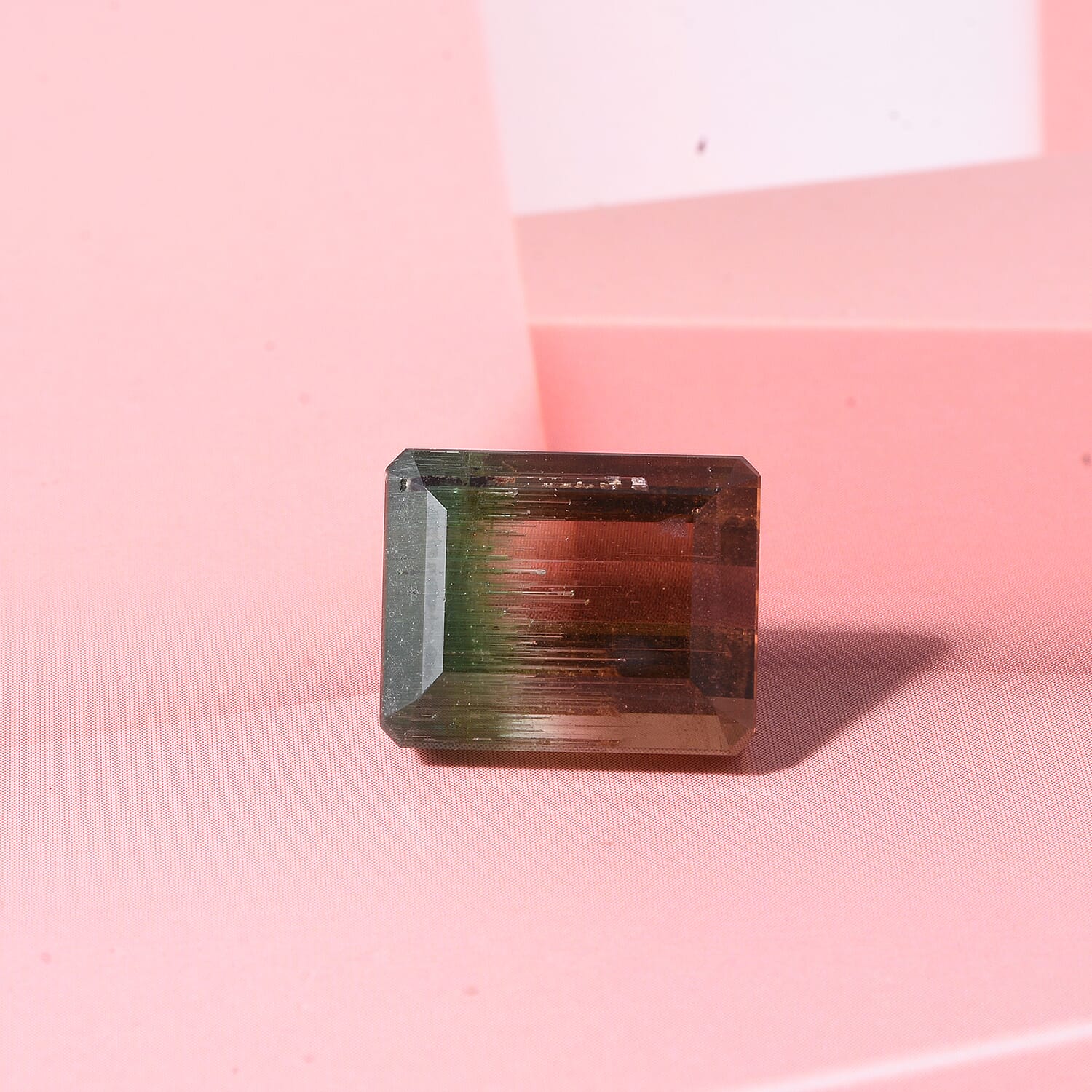 AAA Bi Color Tourmaline (Oct 14.56x11.74 mm) 13.55 ctw