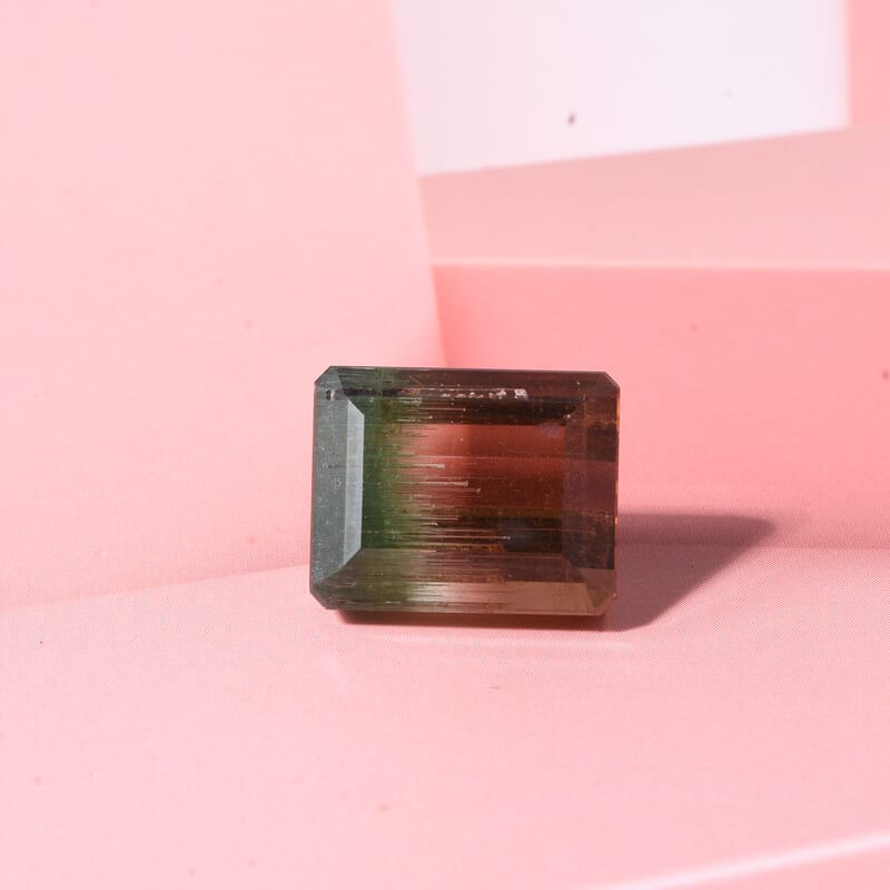 AAA Bi Color Tourmaline (Oct 14.56x11.74 mm) 13.55 ctw