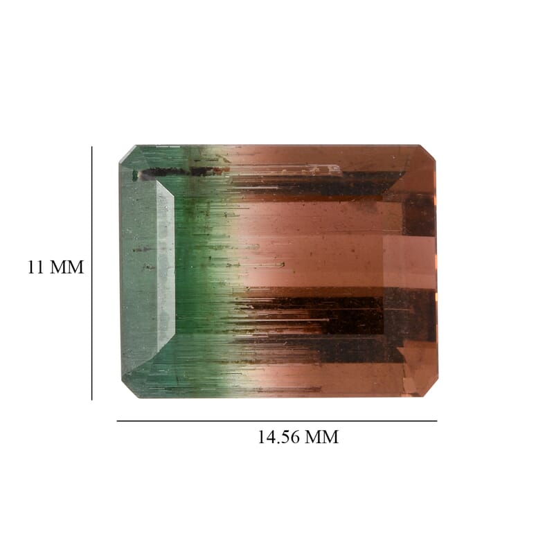 AAA Bi Color Tourmaline (Oct 14.56x11.74 mm) 13.55 ctw