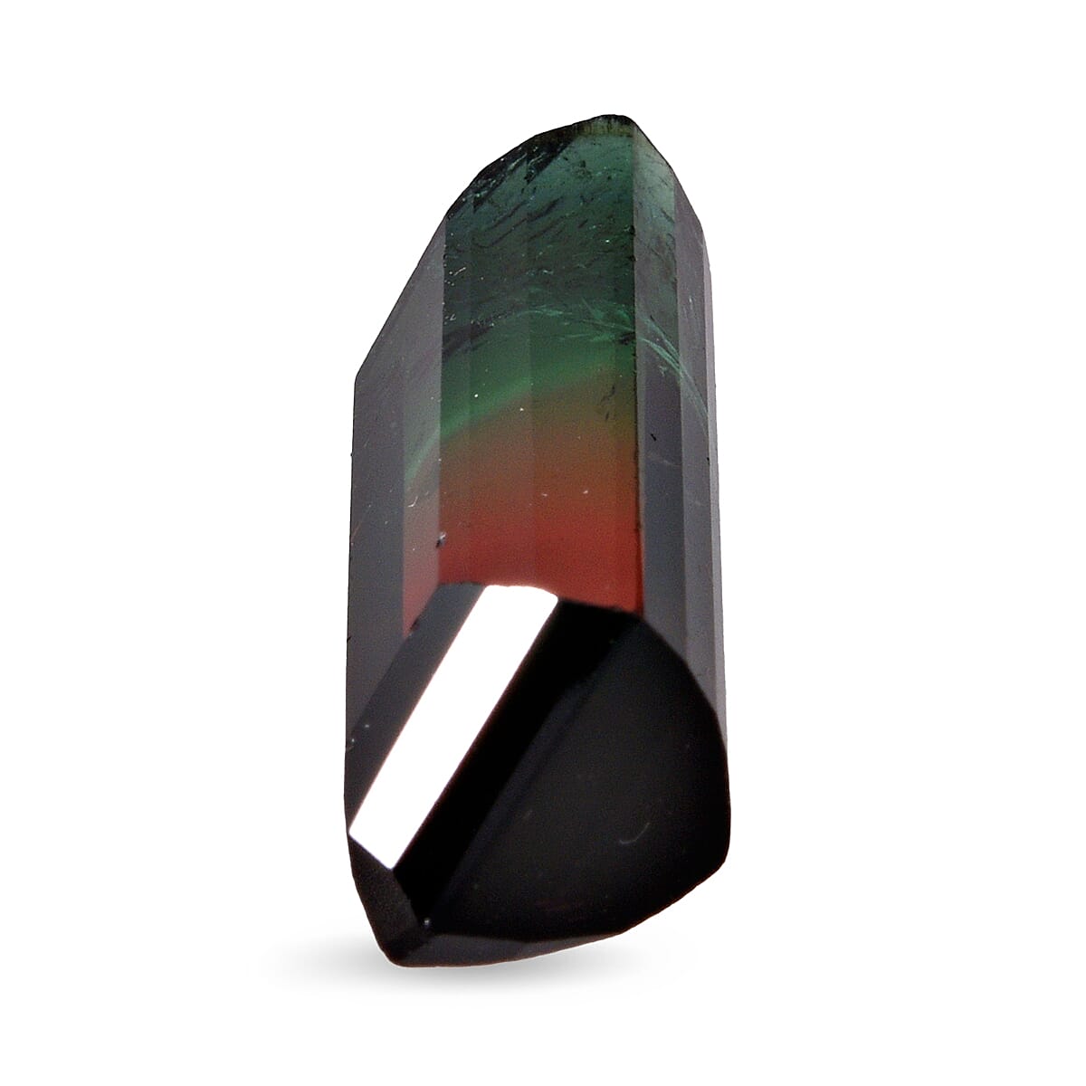 AAA Bi Color Tourmaline (Oct 21.57x17.26 mm) 11.18 ctw