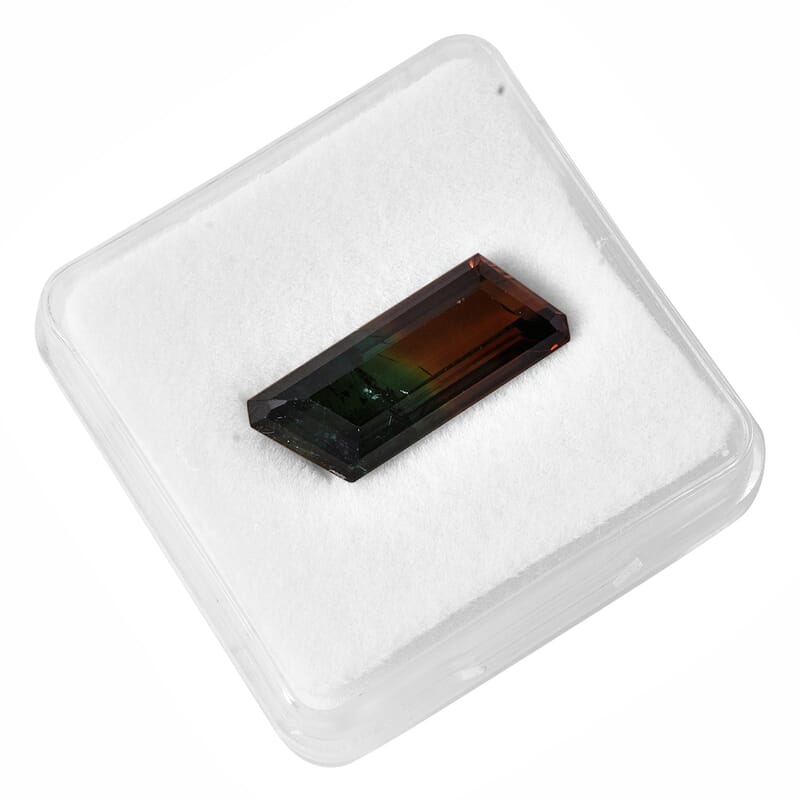 AAA Bi Color Tourmaline (Oct 21.57x17.26 mm) 11.18 ctw