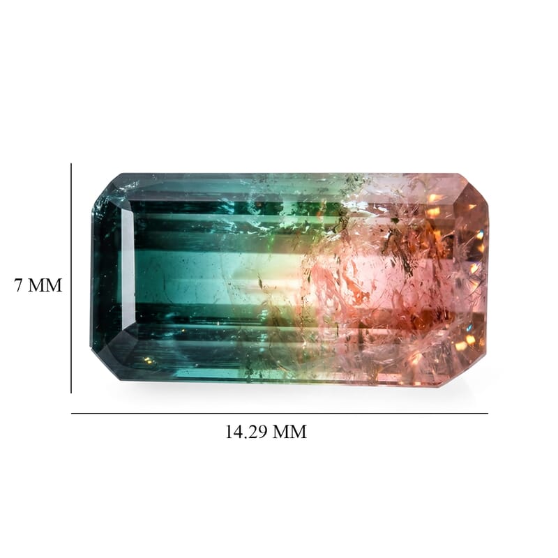AAA Bi Color Tourmaline (Oct 14.29x7.77 mm) 7.95 ctw