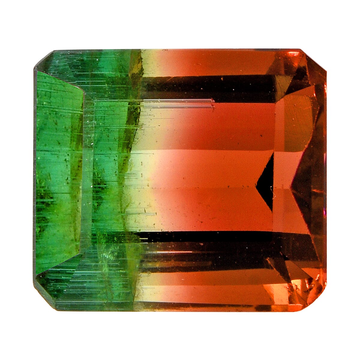 AAA Bi Color Tourmaline (Oct 11.2x10.07 mm) 6.38 ctw