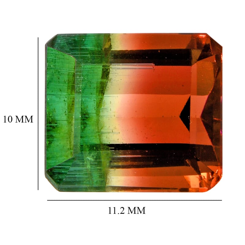 AAA Bi Color Tourmaline (Oct 11.2x10.07 mm) 6.38 ctw