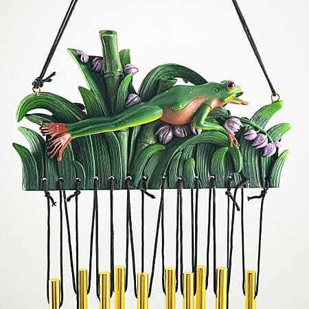 Frog - Product card gallery slide 3 (10251878793529)