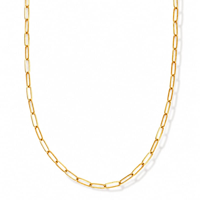 Paperclip Chain Necklace (22-24 Inches) in ION Plated YG Stainless Steel
