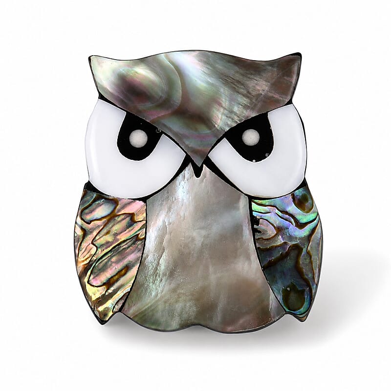 Mother of Pearl and Abalone Shell Owl Brooch in Silvertone