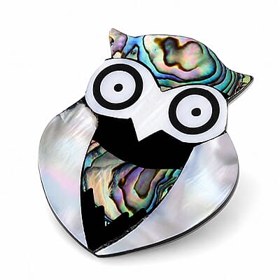 Mother of Pearl, Abalone Shell Owl Brooch in Silvertone