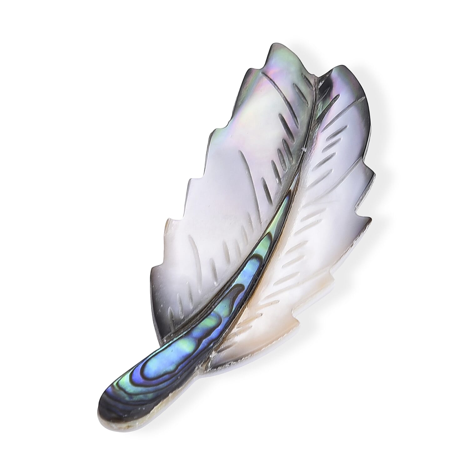 Mother of Pearl and Abalone Shell Feather Brooch in Silvertone