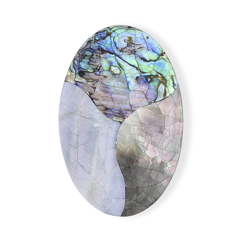 Abalone Shell Earth Brooch in Silvertone