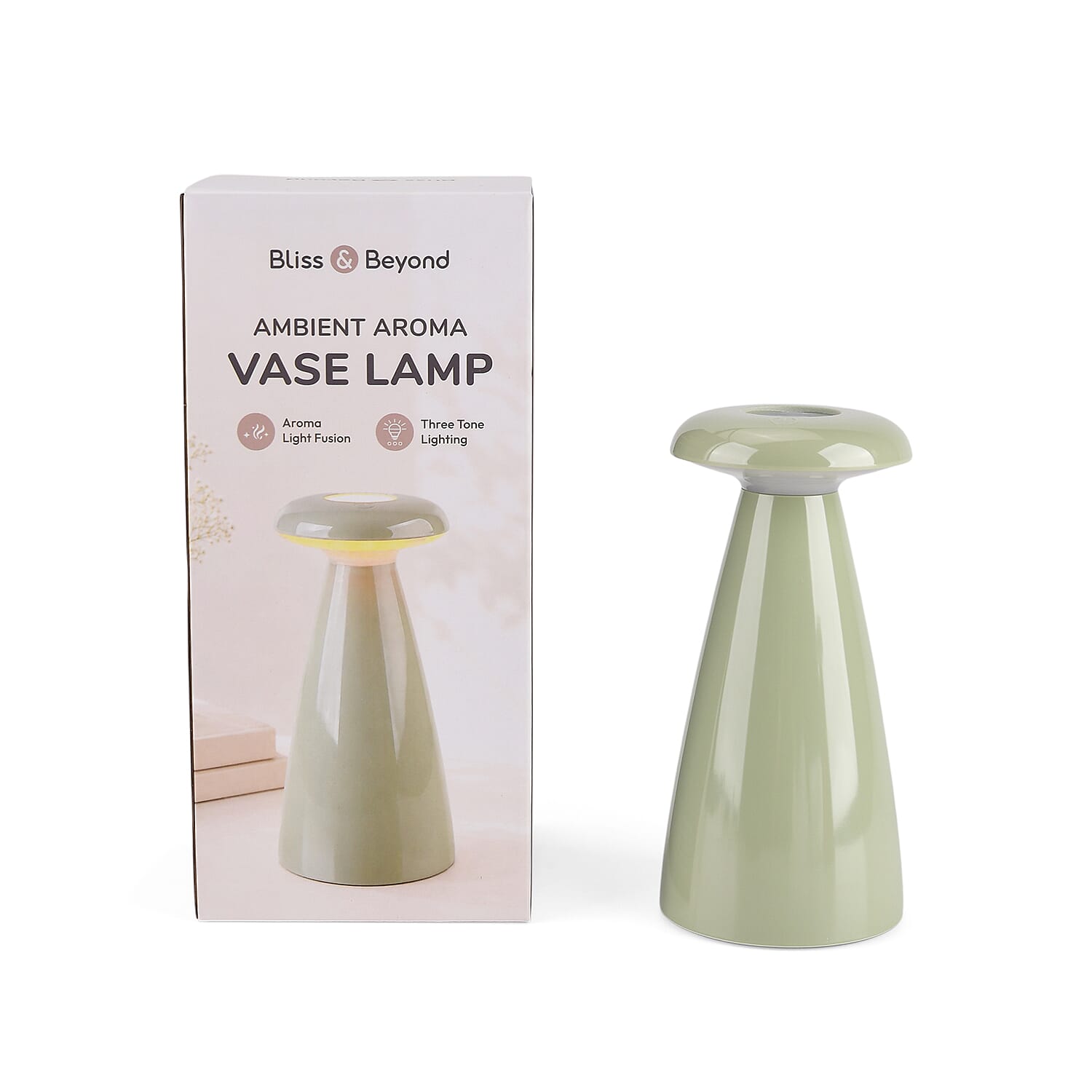 Livmore Light Green 2 in 1 Aroma Lamp with 3 Oil and sticks (3 Color Change When Touch Top and Long Press)