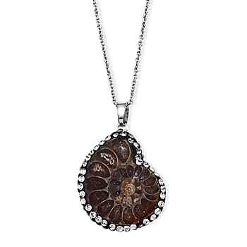 Fossilizes Agate - Product card gallery slide 1 (10261281603897)