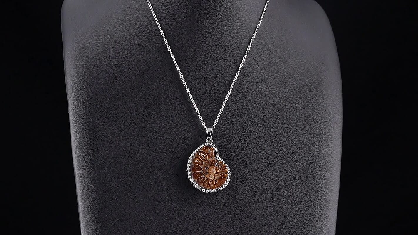 Fossilizes Agate, Simulated Diamond Pendant in Silvertone with Stainless Steel Necklace (20 Inches) 56.00 ctw