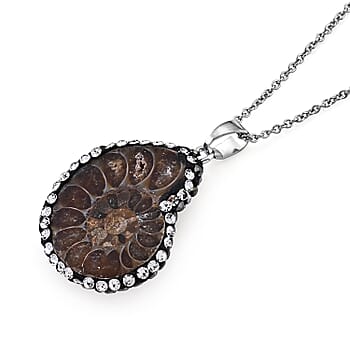Fossilizes Agate - Product card gallery slide 2 (10261281603897)