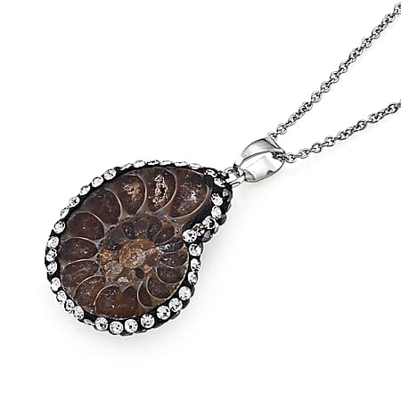 Fossilizes Agate - Product card gallery slide 2 (10261281603897)