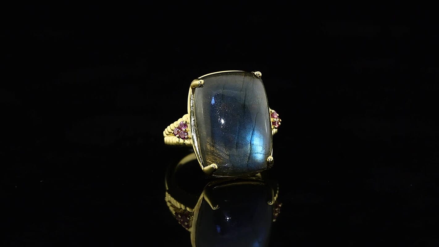 EverTrue AAA Malagasy Labradorite, Lotus Garnet Ring in 18K YG Plated (Size 7.0) 19.70 ctw