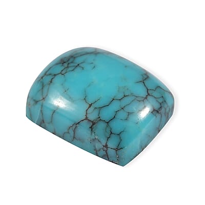 AA Blue Moon Turquoise (Cush 10x8 mm) 3.02 ctw