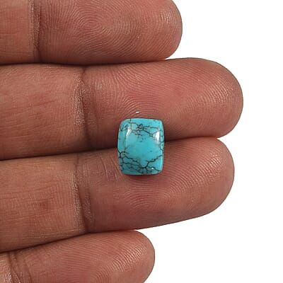 AA Blue Moon Turquoise (Cush 10x8 mm) 3.02 ctw