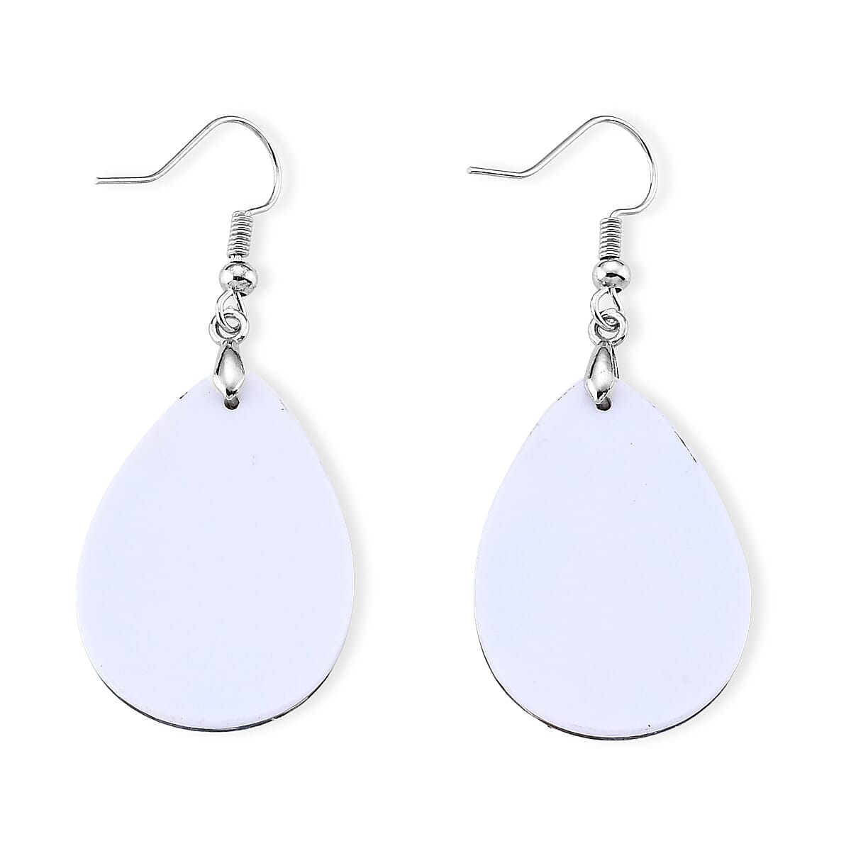 Abalone Shell Dangle Earrings in Silvertone