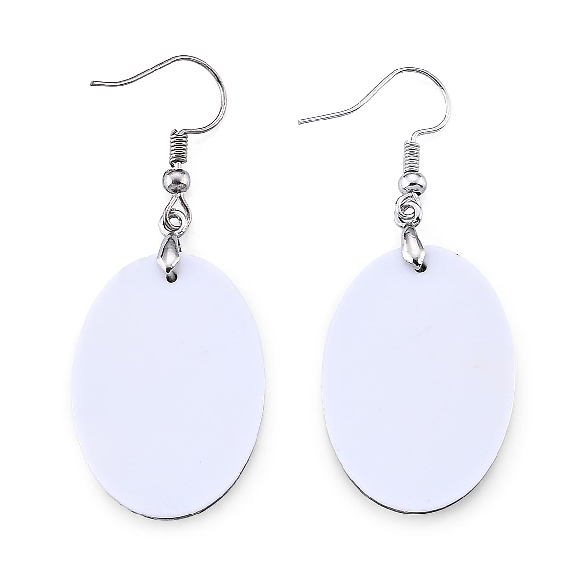 Abalone Shell Dangle Earrings in Silvertone